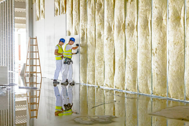 Best Blown-In Insulation  in USA